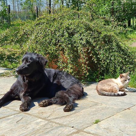 Fagnano Olona Il Casolare Del Medio Olona B&B 외부 사진