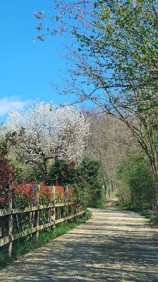 Fagnano Olona Il Casolare Del Medio Olona B&B 외부 사진